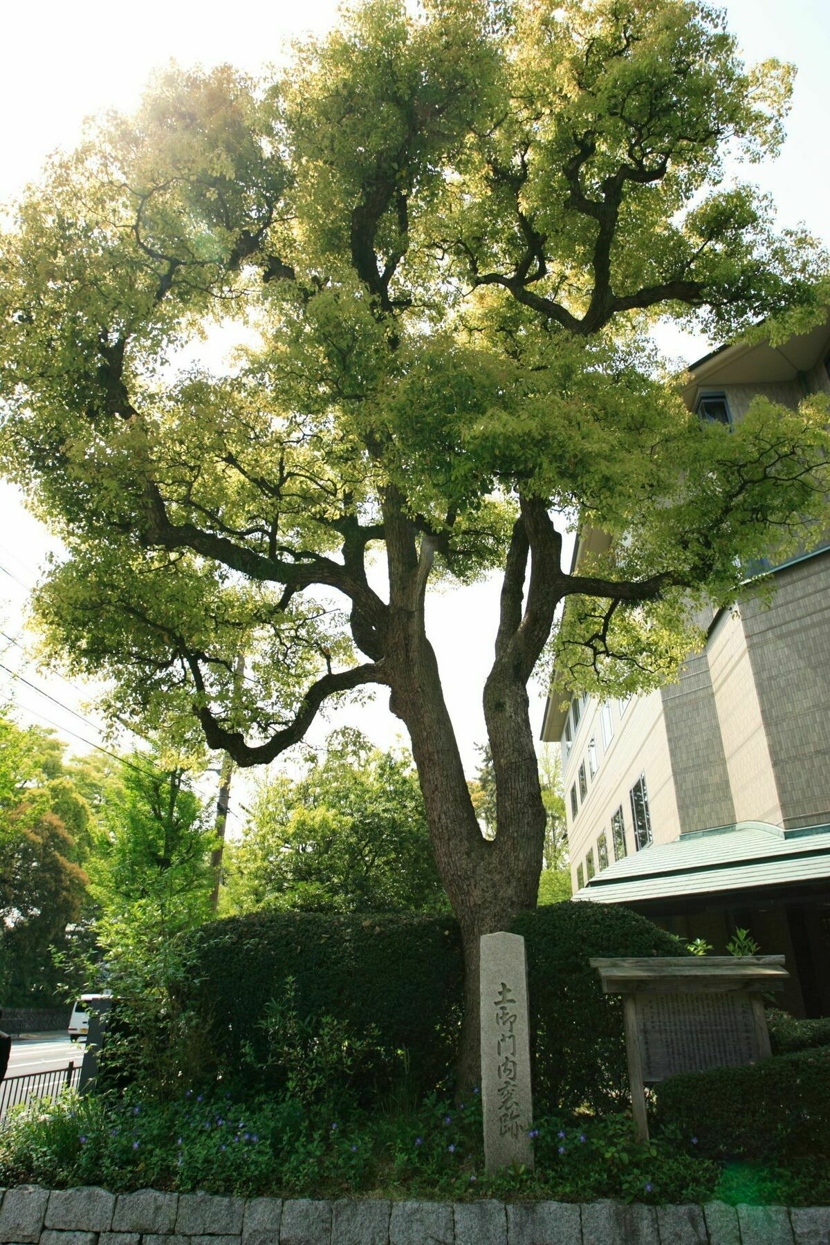 Kyoto Garden Palace Esterno foto