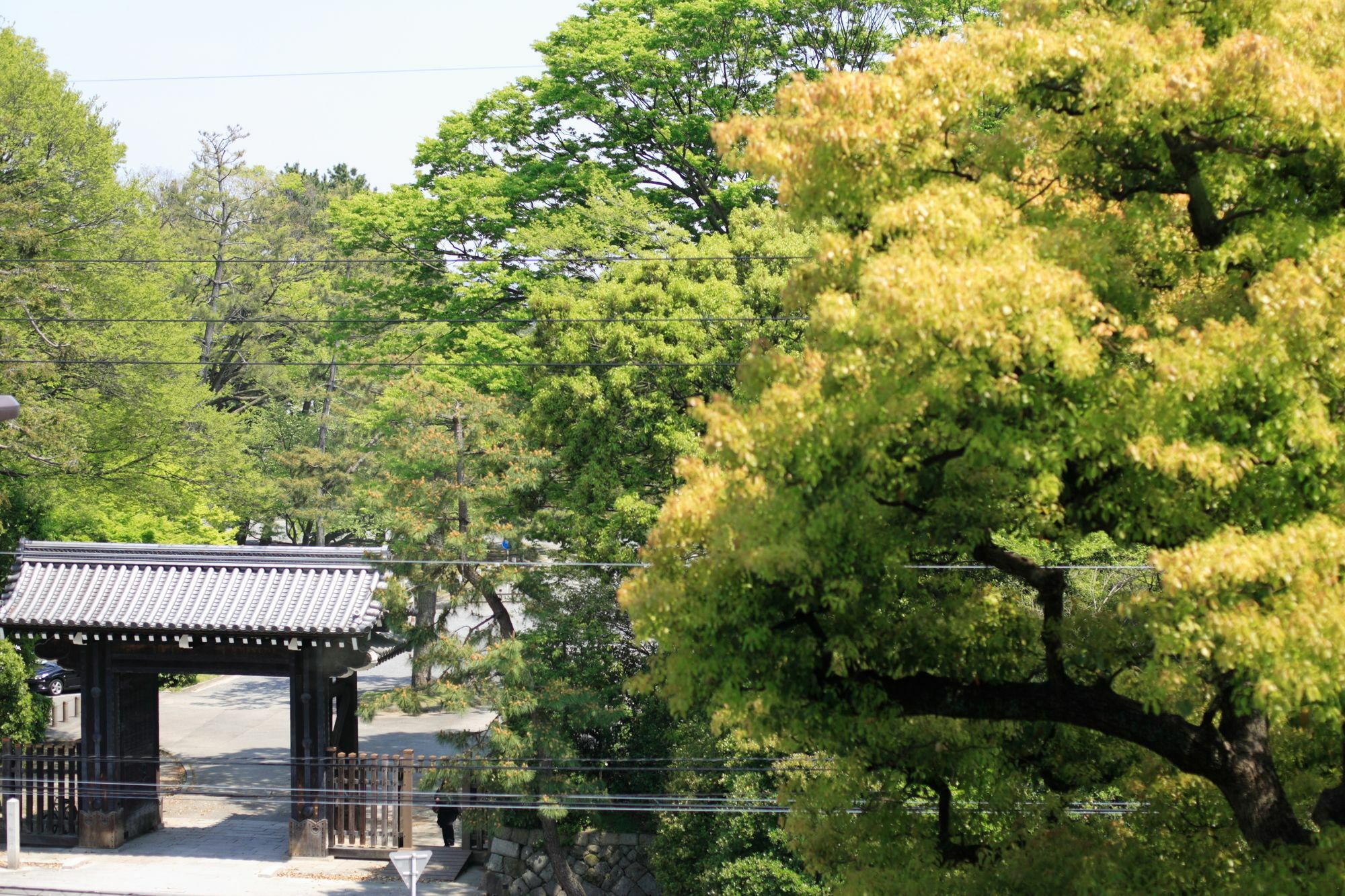 Kyoto Garden Palace Esterno foto